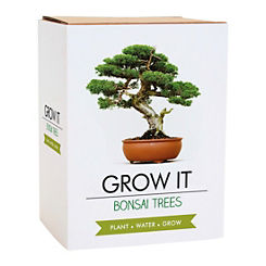 Grow It Bonsai Trees