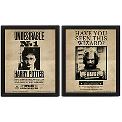 Harry Potter (Potter/Sirius) 3D Lenticular Framed Print