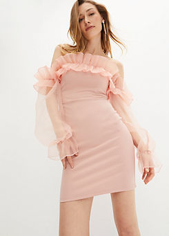 Net Sleeve Mini Dress