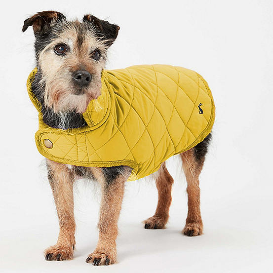 Joules Antique Gold Quilted Dog Coat bonprix