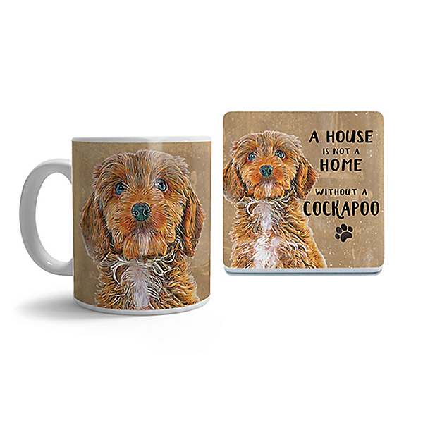 Cockapoo in not cheap