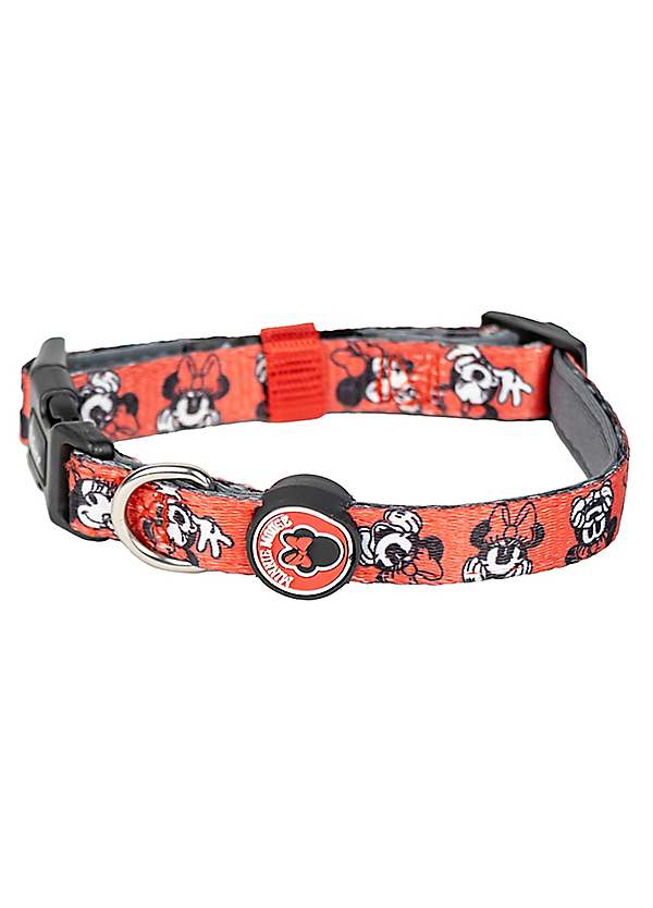 Disney 2024 puppy collar