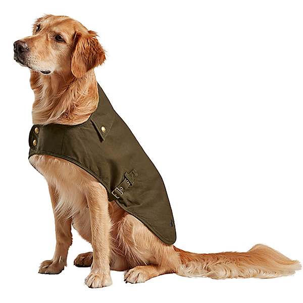 dog field coat