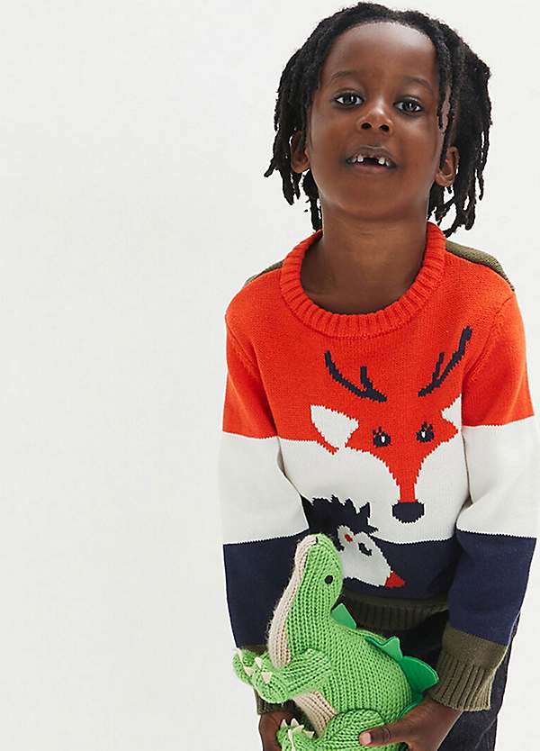 Boys crew neck jumper best sale