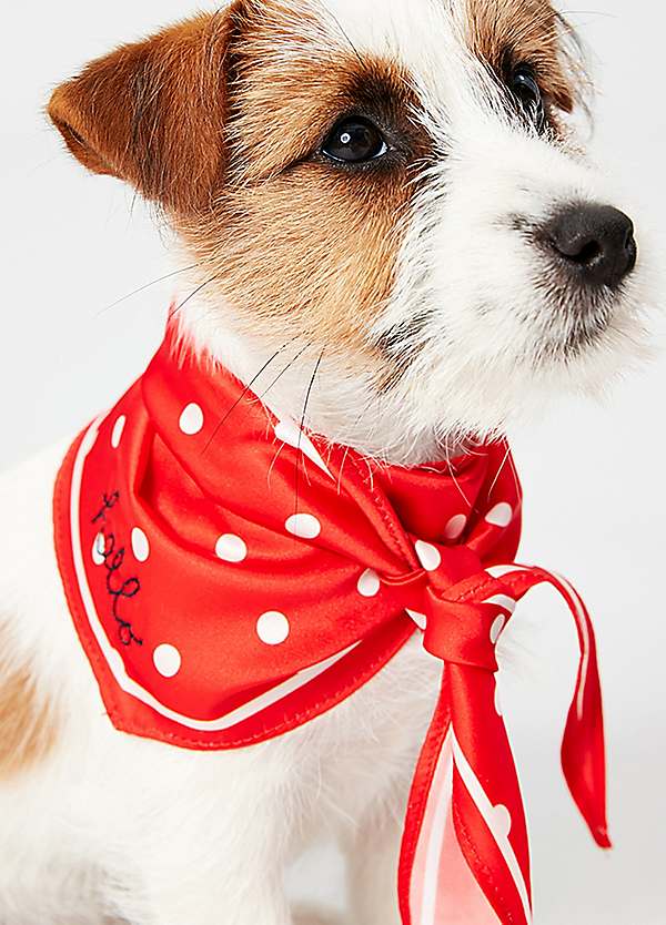 pet neckerchief