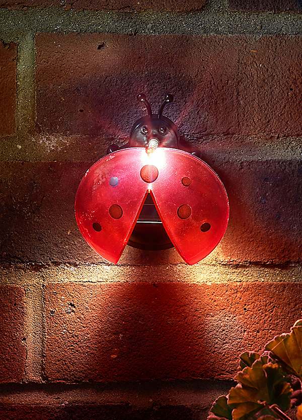 solar ladybird lights