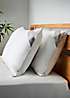 bonprix 365 Freemans Feels Like Down Pair of Pillows